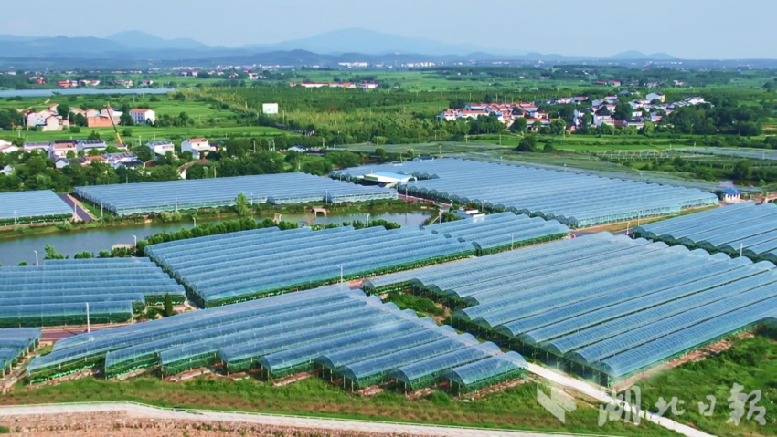 水果游戏机破解方法